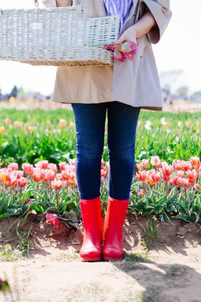 sorel everyday boots